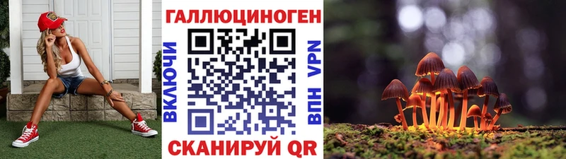 цены   Чухлома  Псилоцибиновые грибы Psilocybe 